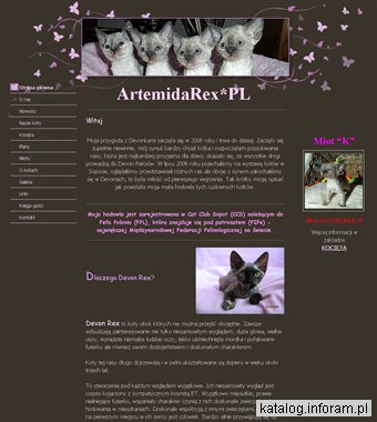 Kocięta Devon Rex - ArtemidaRex - Trójmiasto