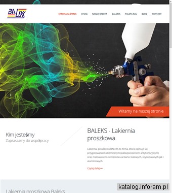 www.baleks.pl