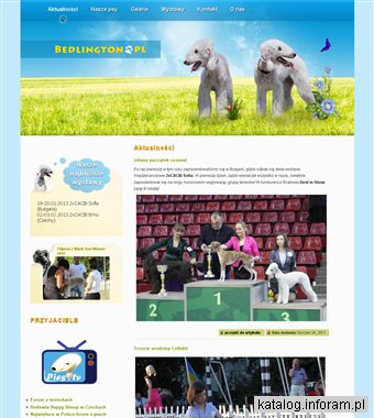 Bedlington terrier