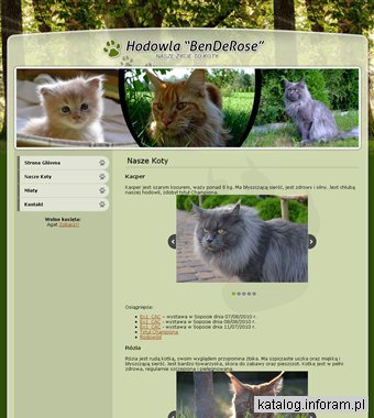 Hodowla Kotów Maine Coon