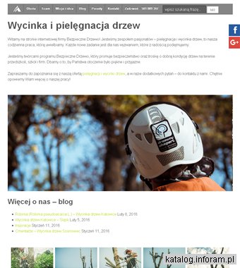 Wycinka drzew przepisy - bezpiecznedrzewo.pl