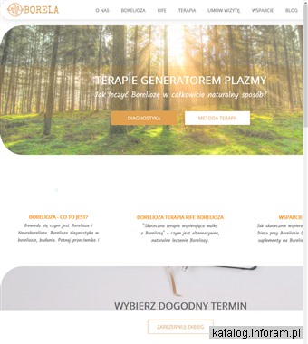 Borelioza diagnostyka Borela