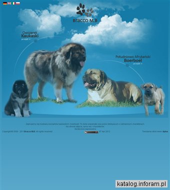Bracco M.B. - Hodowla boerboeli i owczarków kaukaskich