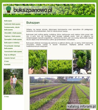 Bukszpany - porady, opisy, sadzonki
