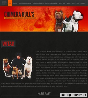 Everest Sp.z o.o. Bulterier miniaturowy Kraków