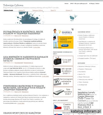 Darmowa Telewizja Cyfrowa w Polsce