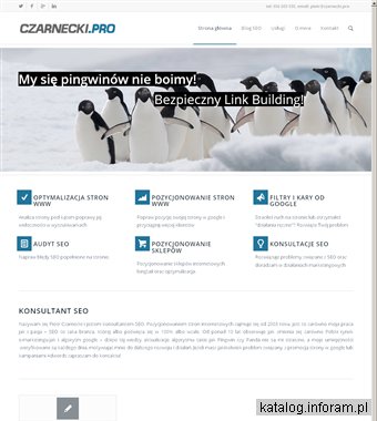Piotr Czarnecki specjalista SEO