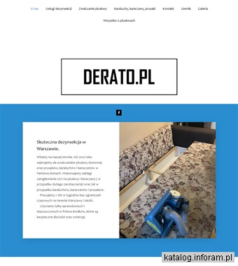 Dezynsekcja - Derato.pl