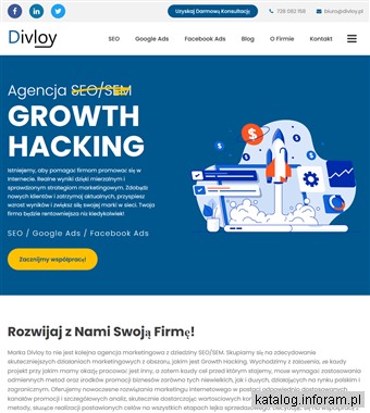 Divloy.pl - SEO, Google Ads, Facebook Ads