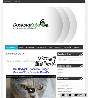 Strona o kotach i kocich filmach. Opisy kotów rasowych Dookoła KotaTV