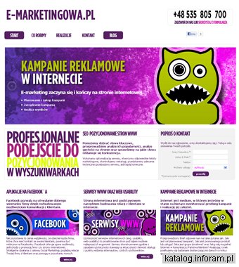 Kampanie reklamowe w internecie