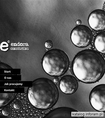 ENDORA Consulting, Gliwice - projektowanie stron www