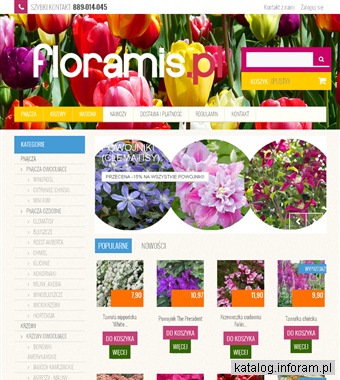 Kolorowe pnącza do Twojego ogrodu