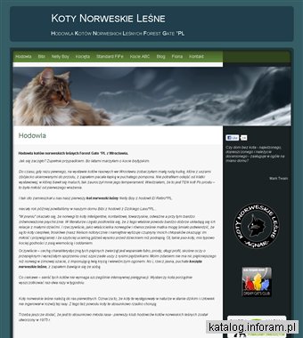 Hodowla kotów norweskich leśnych