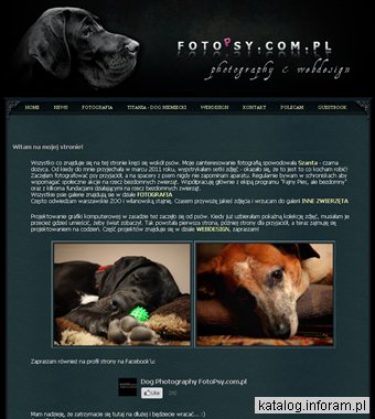 Fotografia psów, sesje zdjęciowe dla psów