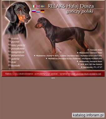 GOŃCZY POLSKI - reproduktor - RELAKS Hulaj Dusza