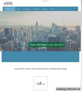 Grupa MTS badania sprzedaży