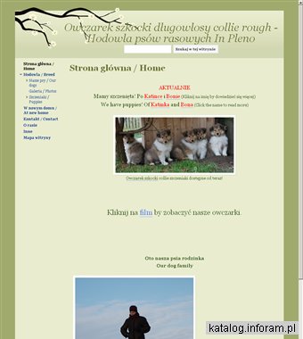 In Pleno owczarek szkocki