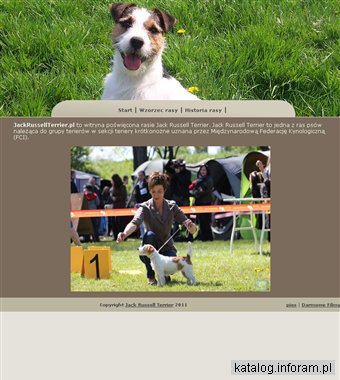 Jack Russell Terrier