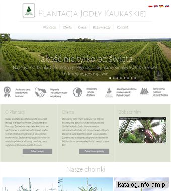 Sprzedaż hurtowa Jodły kaukaskiej