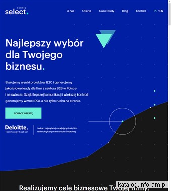 Pozycjonowanie w wyszukiwarkach - Kerris Select