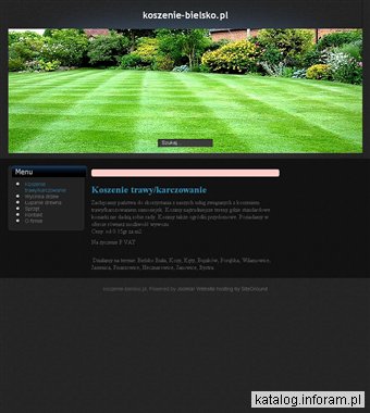 Wycinka drzew, koszenie trawy Bielsko-Biala