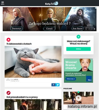 Śmieszne koty - koty.tv