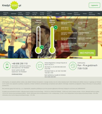 Pożyczki przez Internet