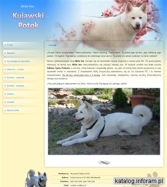 Kujawski Potok - Hodowla psów rasowych Akita Inu