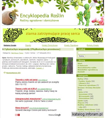 Encyklopedia roślin - kwiaty ogrodowe i doniczkowe