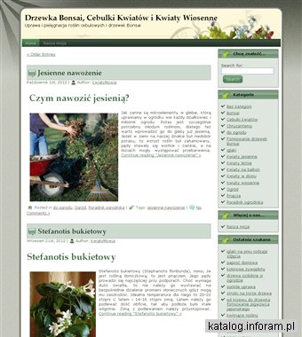 Bonsai pielęgnowanie drzewek