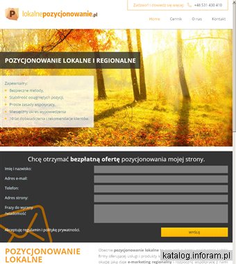 Pozycjowanie lokalne - działania SEO