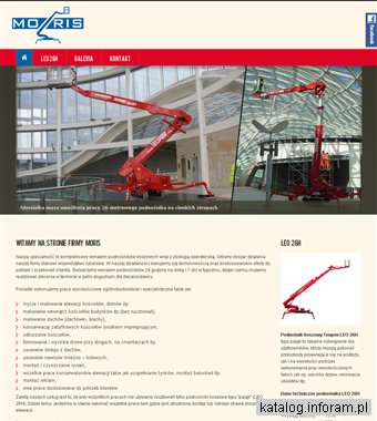 Moris - wycinka drzew, prace wyskościowe