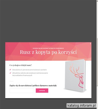 Strony internetowe wisła - Nanei