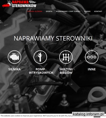 naprawasterownikow.pl naprawa sterowników