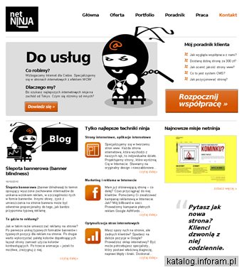 Netninja Strony WWW Poznań. Projektowanie stron www