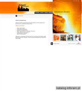 ODLEWNIA ŻELIWA SOLIDUS CEZARY WOJNOWSKI odlewnia Grudziądz