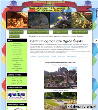 Ogród Śląski sprzedaż jodeł - abies - Tarnowskie Góry