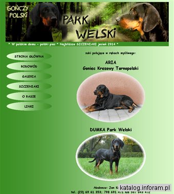 PARK WELSKI hodowla psów myśliwskich rasy GOŃCZY POLSKI