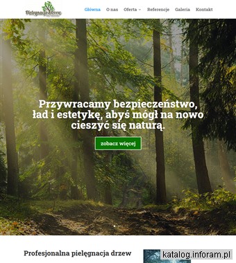 Przycinanie drzew - pielegnacjadrzew.com.pl
