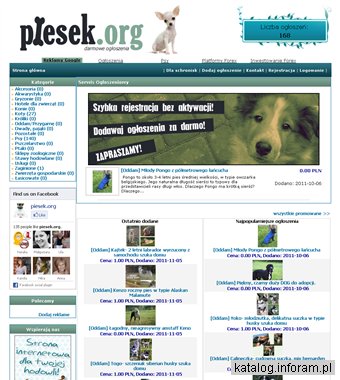 Darmowe ogłoszenia zwierzęta - ogłoszenia psy, koty