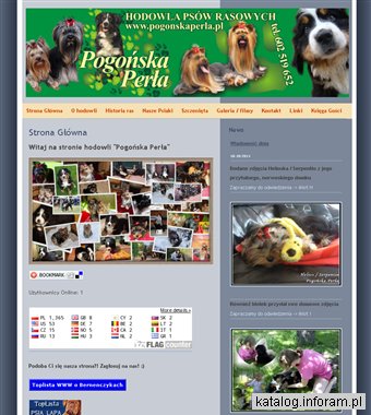 Pogońska Perła - hodowla psów rasowych