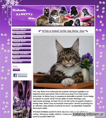 Hodowla kotów Saretta