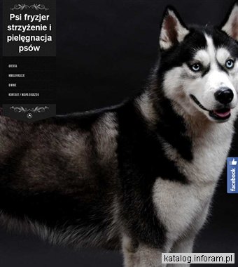 Fryzjer dla psów Toruń