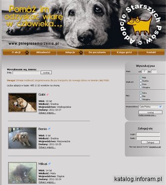 Adopcje starszych psów