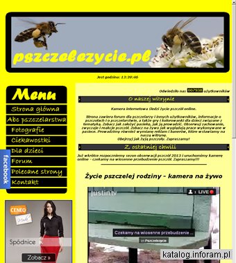 Pszczoły online - kamera na żywo