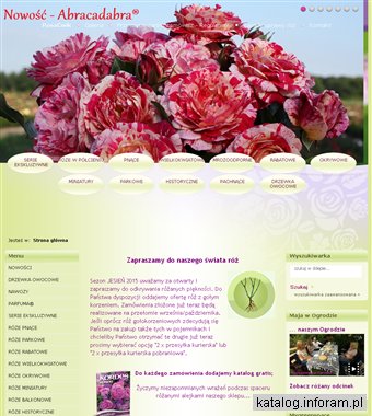 Rosacwik-sklep.pl róże pnące