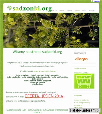 Sadzonki.org - choinki, sadzonki iglaków