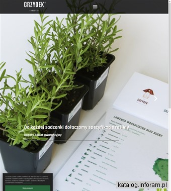 Gospodarstwo Ogrodnicze Andrzej Grzybek