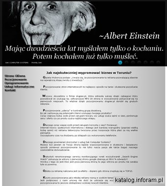 Projektowanie stron internetowych Toruń